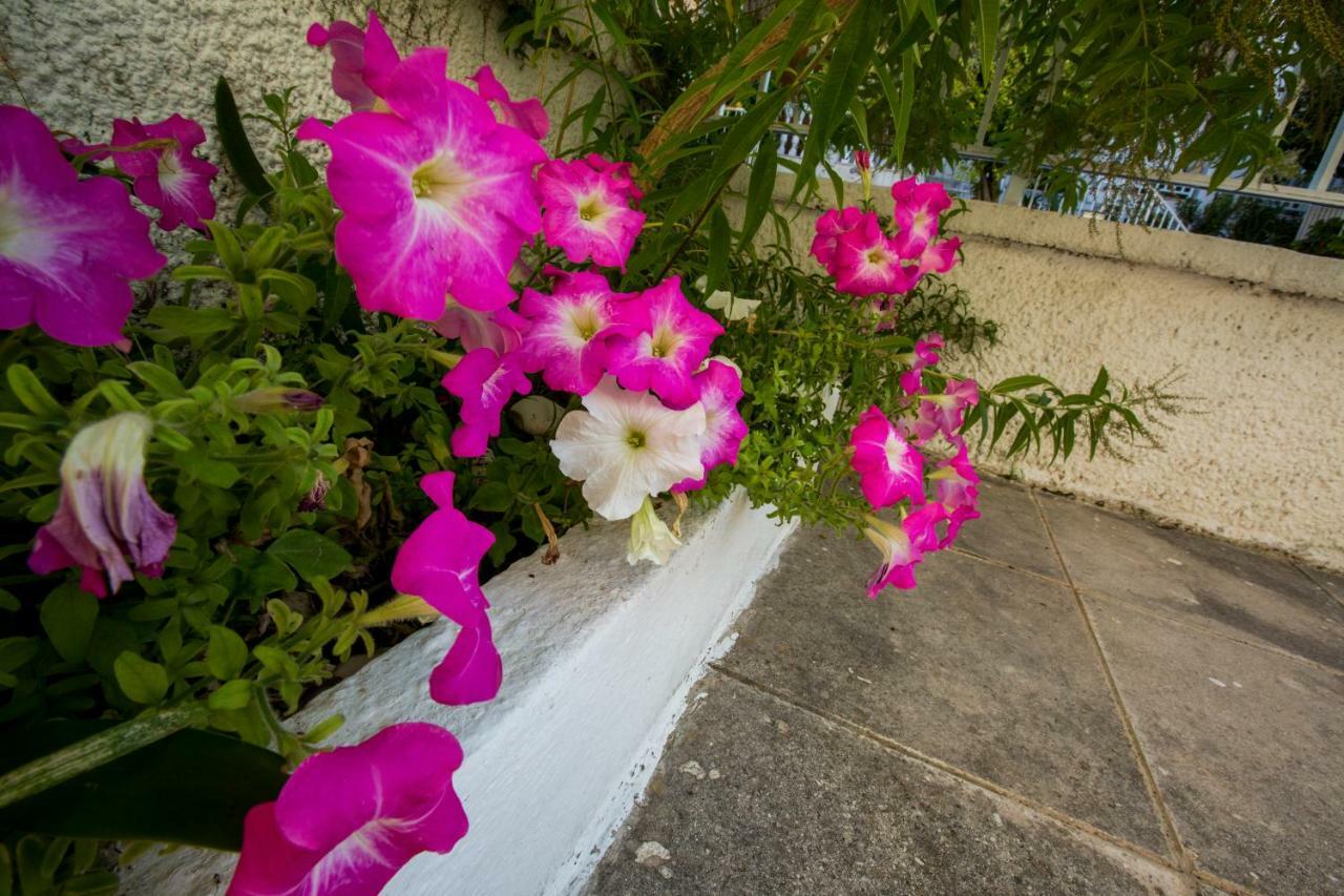 Willa Marietta'S Townhouse Argostoli  Zewnętrze zdjęcie